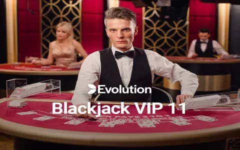 Blackjack VIP 11
