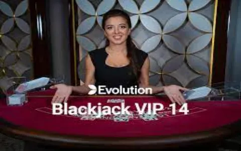 Blackjack VIP 14