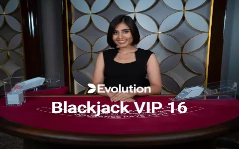 Blackjack VIP 16