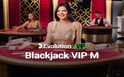 Blackjack VIP M